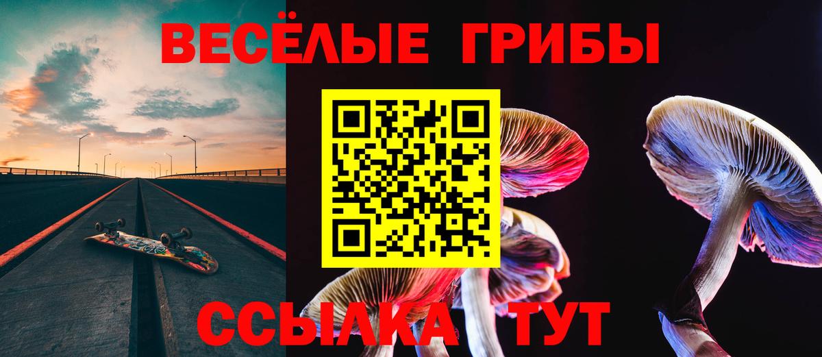 Галлюциногенные грибы GOLDEN TEACHER  Вход с VPN  Бугуруслан 